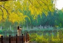麻豆影视文化传媒app官网-麻豆影视文化传媒app官网 —— 影视娱乐的新风尚探索